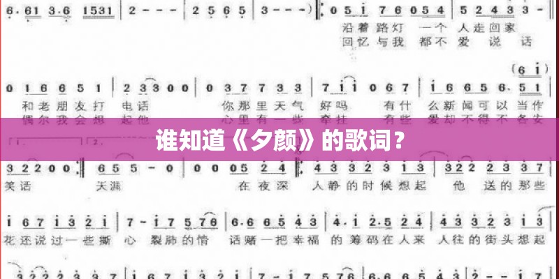 谁知道《夕颜》的歌词？