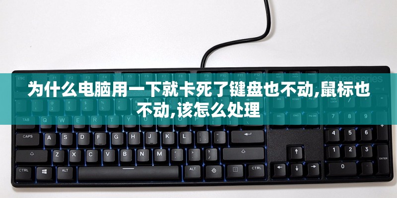 为什么电脑用一下就卡死了键盘也不动,鼠标也不动,该怎么处理