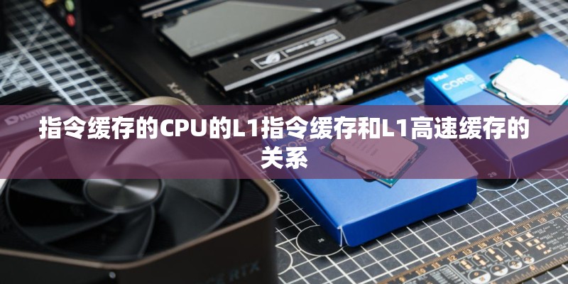 指令缓存的CPU的L1指令缓存和L1高速缓存的关系