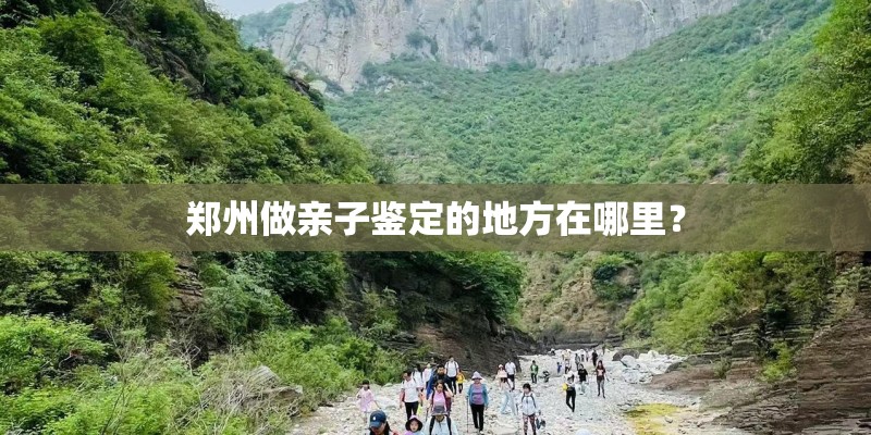 郑州做亲子鉴定的地方在哪里？