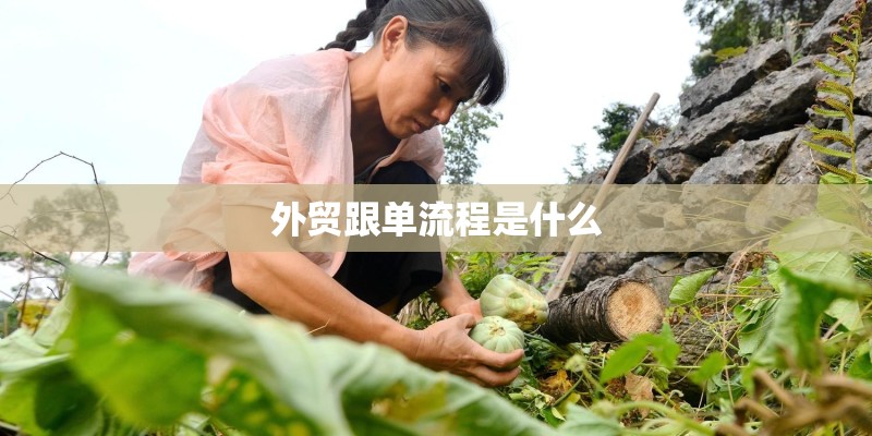 外贸跟单流程是什么