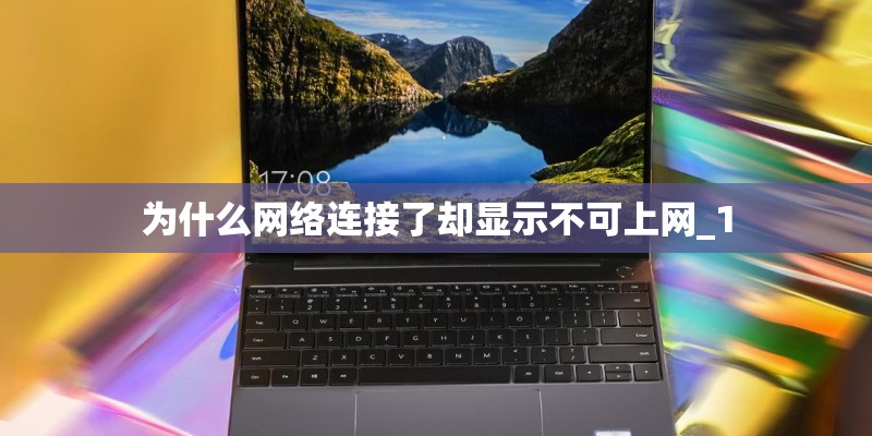 为什么网络连接了却显示不可上网_1
