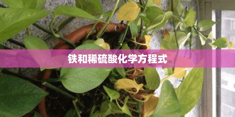 铁和稀硫酸化学方程式