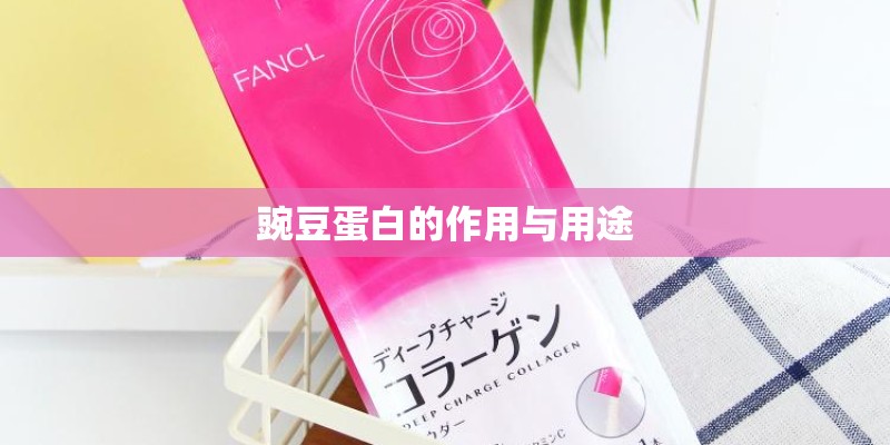 豌豆蛋白的作用与用途