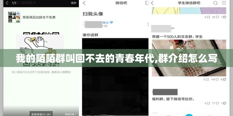 我的陌陌群叫回不去的青春年代,群介绍怎么写