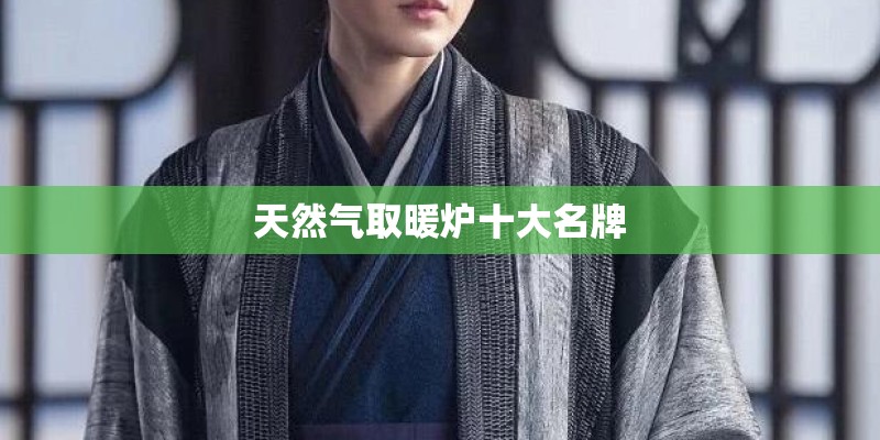 天然气取暖炉十大名牌