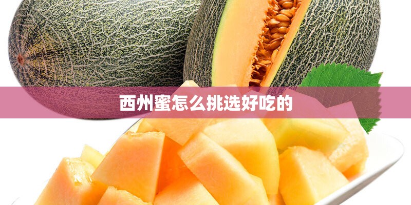 西州蜜怎么挑选好吃的