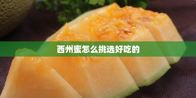 西州蜜怎么挑选好吃的