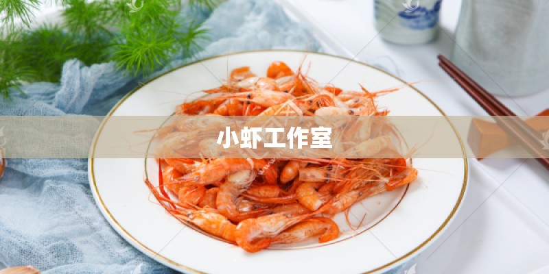 小虾工作室 小虾工作室