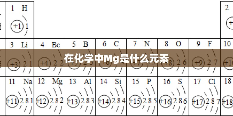 在化学中Mg是什么元素
