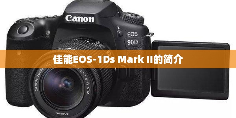 佳能EOS-1Ds Mark II的简介 佳能EOS-1Ds Mark II的简介
