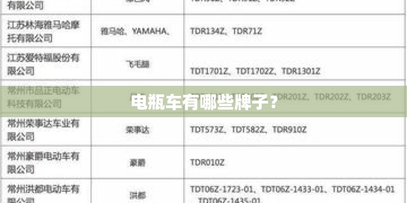 电瓶车有哪些牌子？