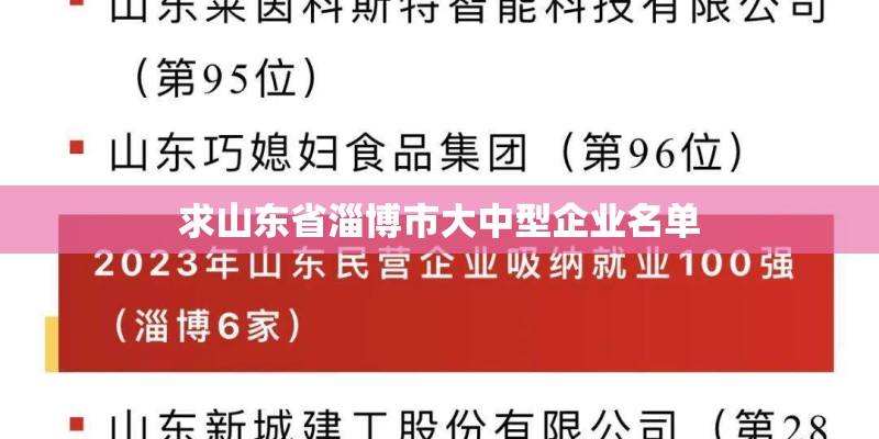 求山东省淄博市大中型企业名单