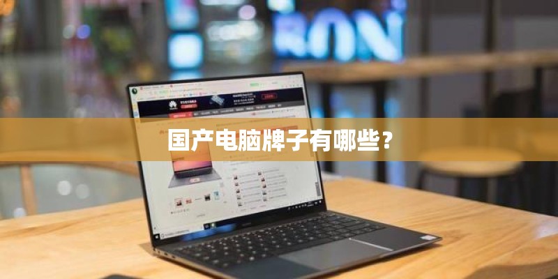 国产电脑牌子有哪些? 国产电脑牌子有哪些?
