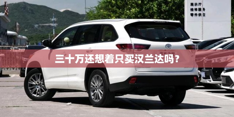 三十万还想着只买汉兰达吗？
