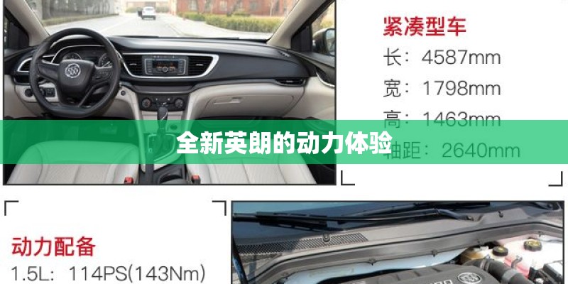 三四种花的名字和时间和的姿态怎么写