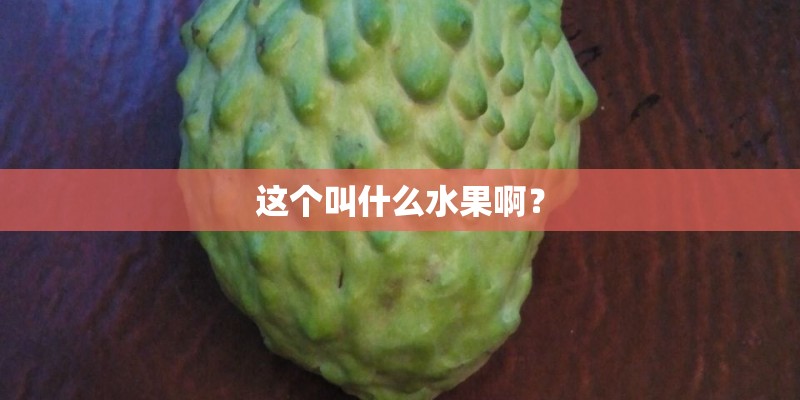 这个叫什么水果啊？