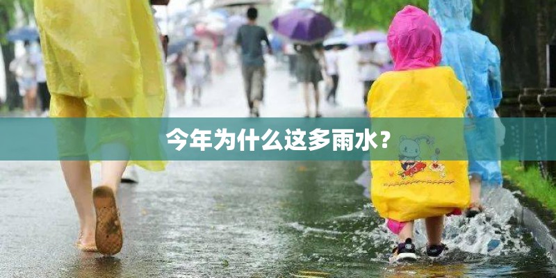 今年为什么这多雨水？