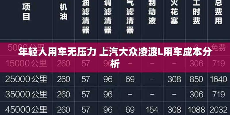 年轻人用车无压力 上汽大众凌渡L用车成本分析