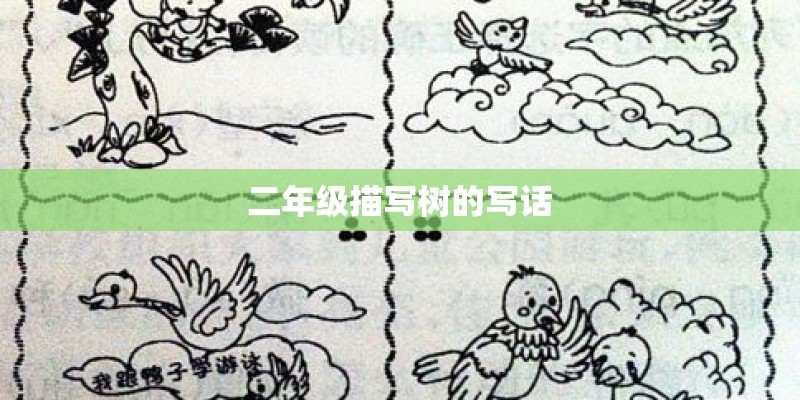 二年级描写树的写话