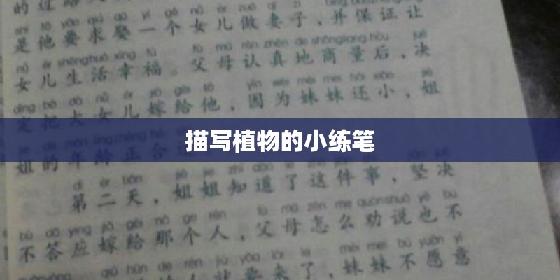 描写植物的小练笔 描写植物的小练笔