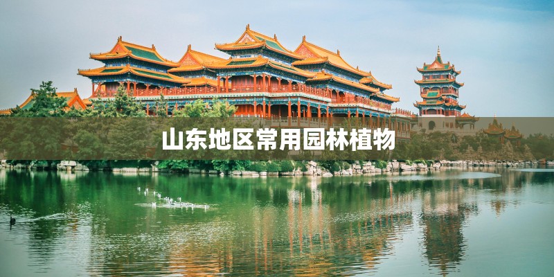 山东地区常用园林植物 山东地区常用园林植物