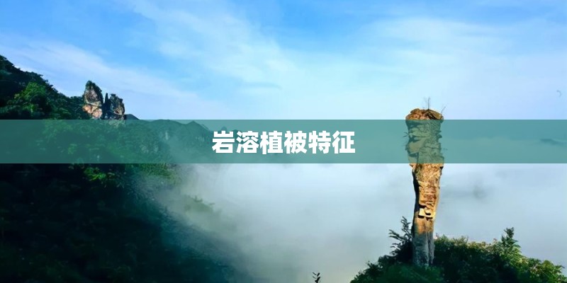岩溶植被特征 岩溶植被特征