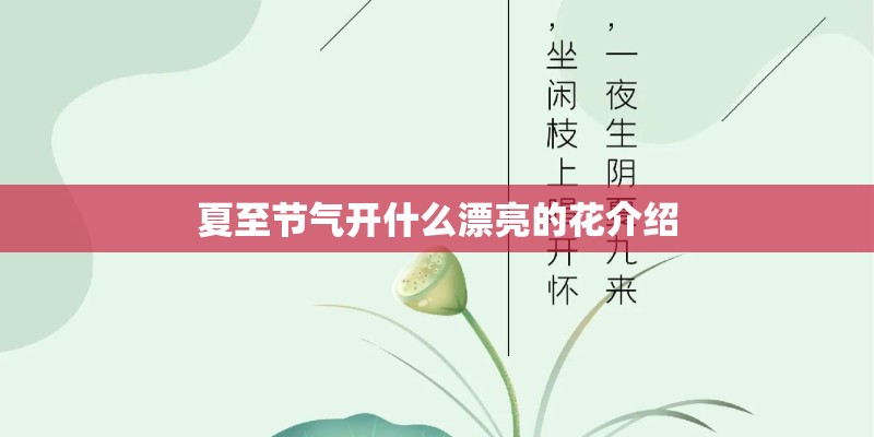 夏至节气开什么漂亮的花介绍 夏至节气开什么漂亮的花介绍