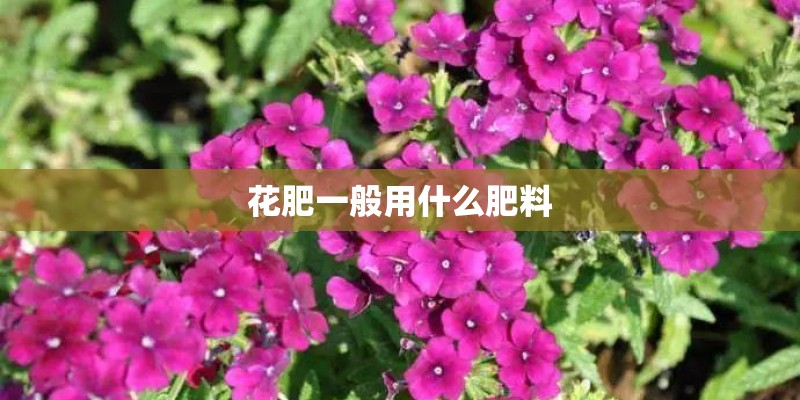 花肥一般用什么肥料