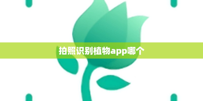 拍照识别植物app哪个