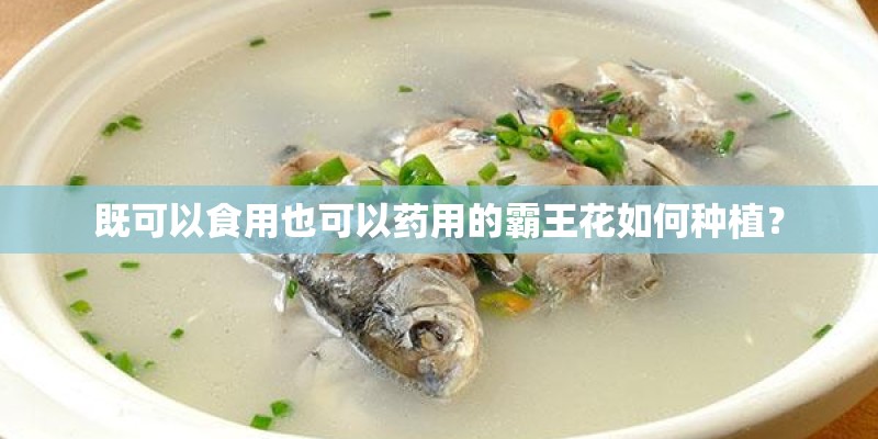 既可以食用也可以药用的霸王花如何种植? 既可以食用也可以药用的霸王花如何种植?
