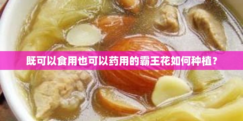 既可以食用也可以药用的霸王花如何种植? 既可以食用也可以药用的霸王花如何种植?