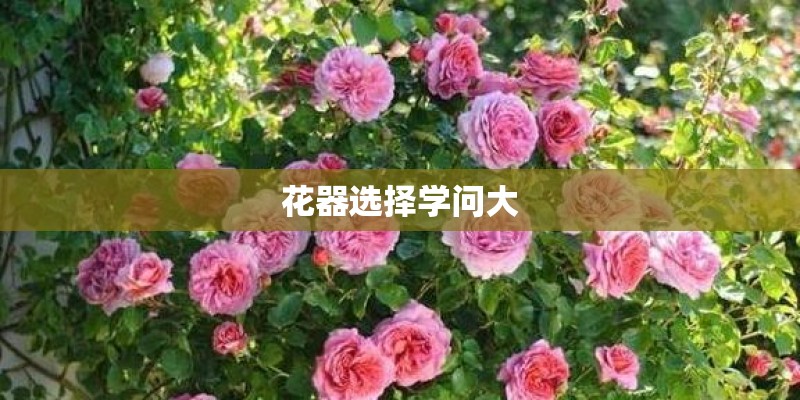花器选择学问大