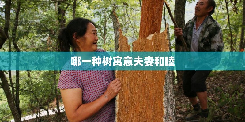 哪一种树寓意夫妻和睦 哪一种树寓意夫妻和睦
