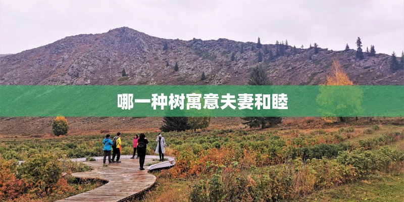 哪一种树寓意夫妻和睦 哪一种树寓意夫妻和睦