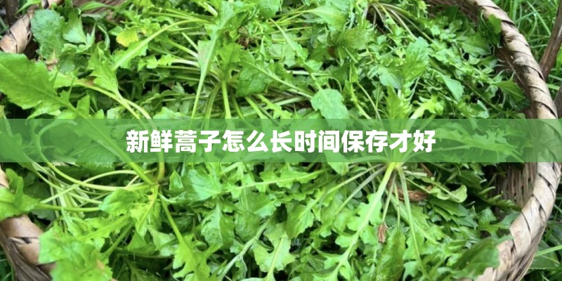 新鲜蒿子怎么长时间保存才好 新鲜蒿子怎么长时间保存才好