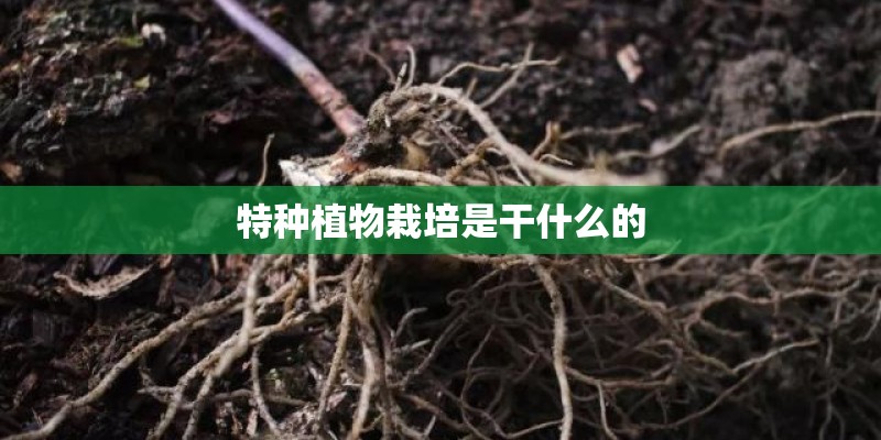 特种植物栽培是干什么的