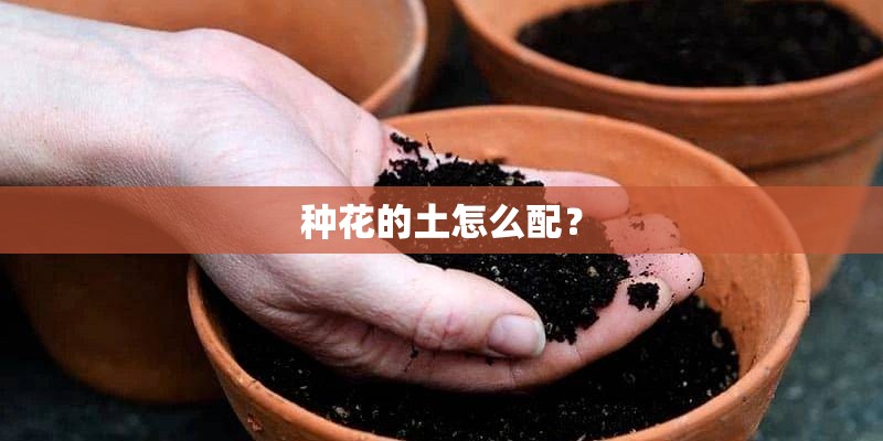 种花的土怎么配? 种花的土怎么配?