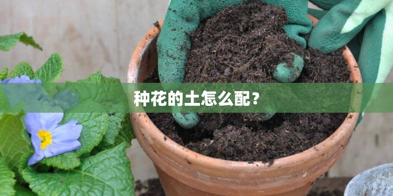 种花的土怎么配? 种花的土怎么配?