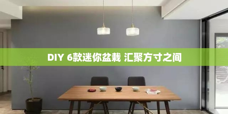 DIY 6款迷你盆栽 汇聚方寸之间
