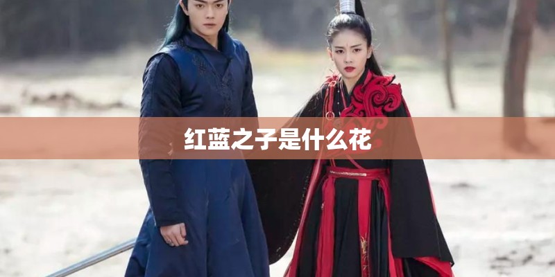 红蓝之子是什么花