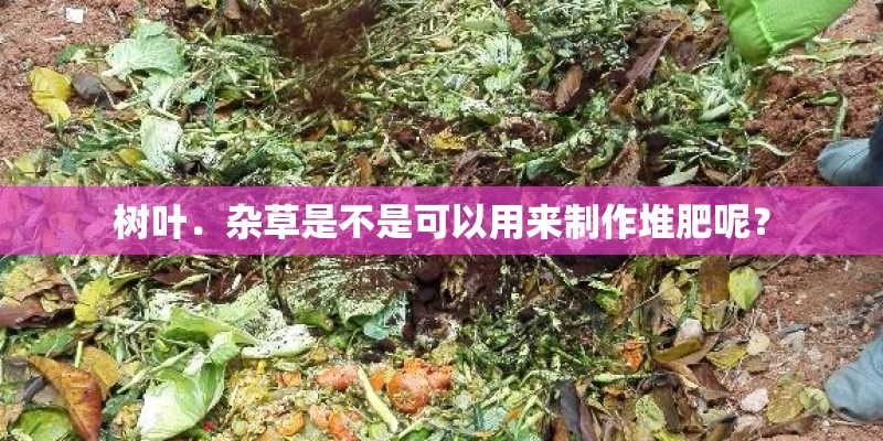 树叶．杂草是不是可以用来制作堆肥呢？