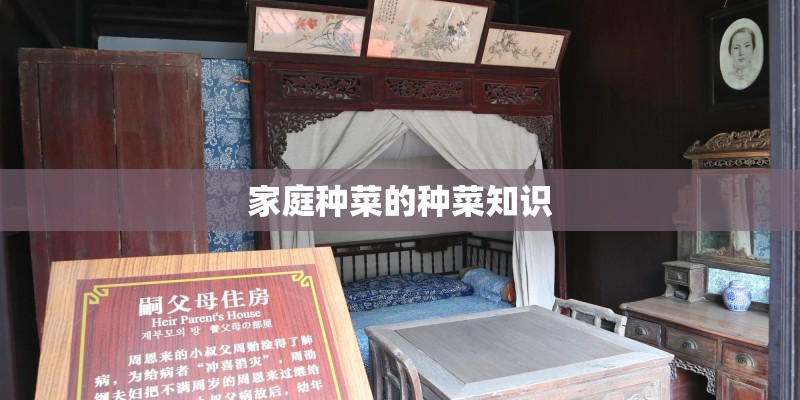家庭种菜的种菜知识