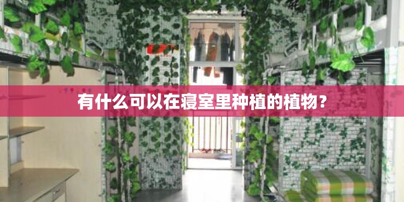 有什么可以在寝室里种植的植物? 有什么可以在寝室里种植的植物?