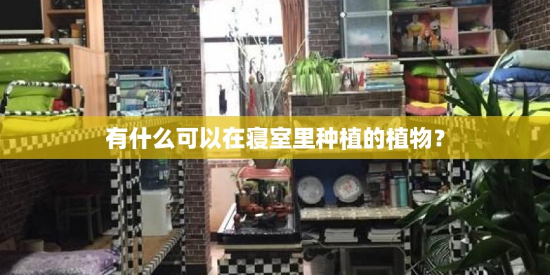 有什么可以在寝室里种植的植物? 有什么可以在寝室里种植的植物?