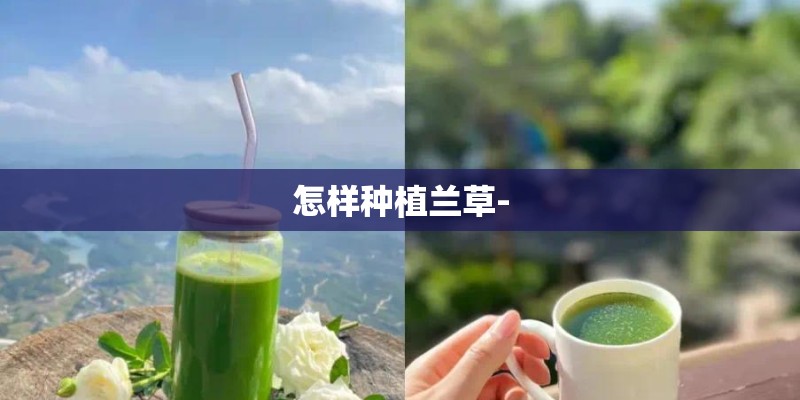 怎样种植兰草-