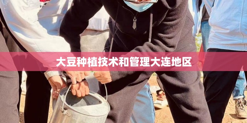 大豆种植技术和管理大连地区