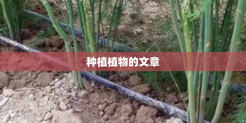 种植植物的文章