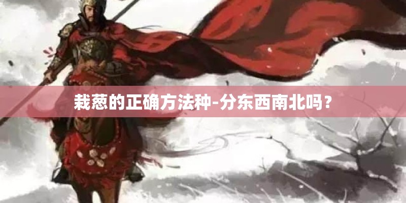 栽葱的正确方法种-分东西南北吗？