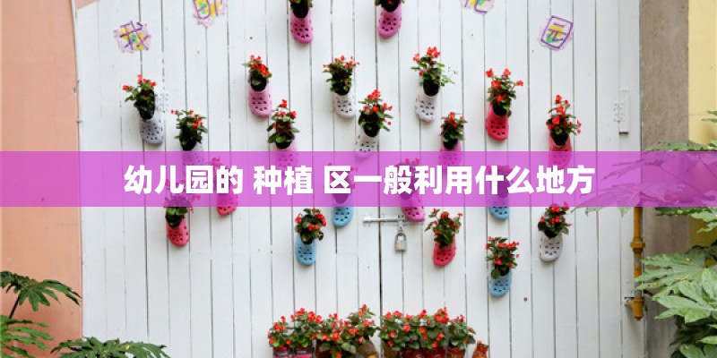 幼儿园的 种植 区一般利用什么地方